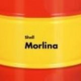 Shell Morlina